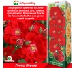 ./image2.php?src=images/items/16799_200x200.jpeg