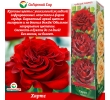./image2.php?src=images/items/16823_200x200.jpeg