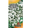 ./image2.php?src=images/items/19188_200x200.jpeg